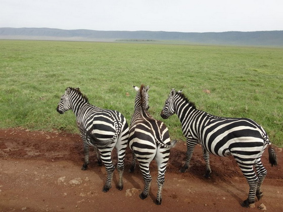 tanzania_07