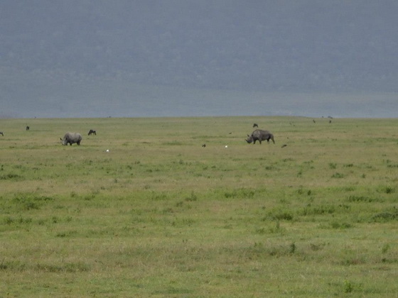 tanzania_16