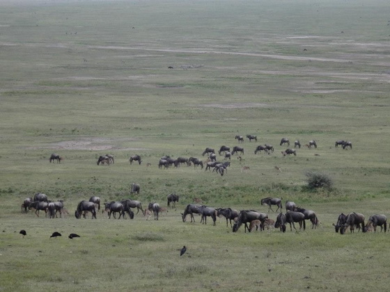 tanzania_28